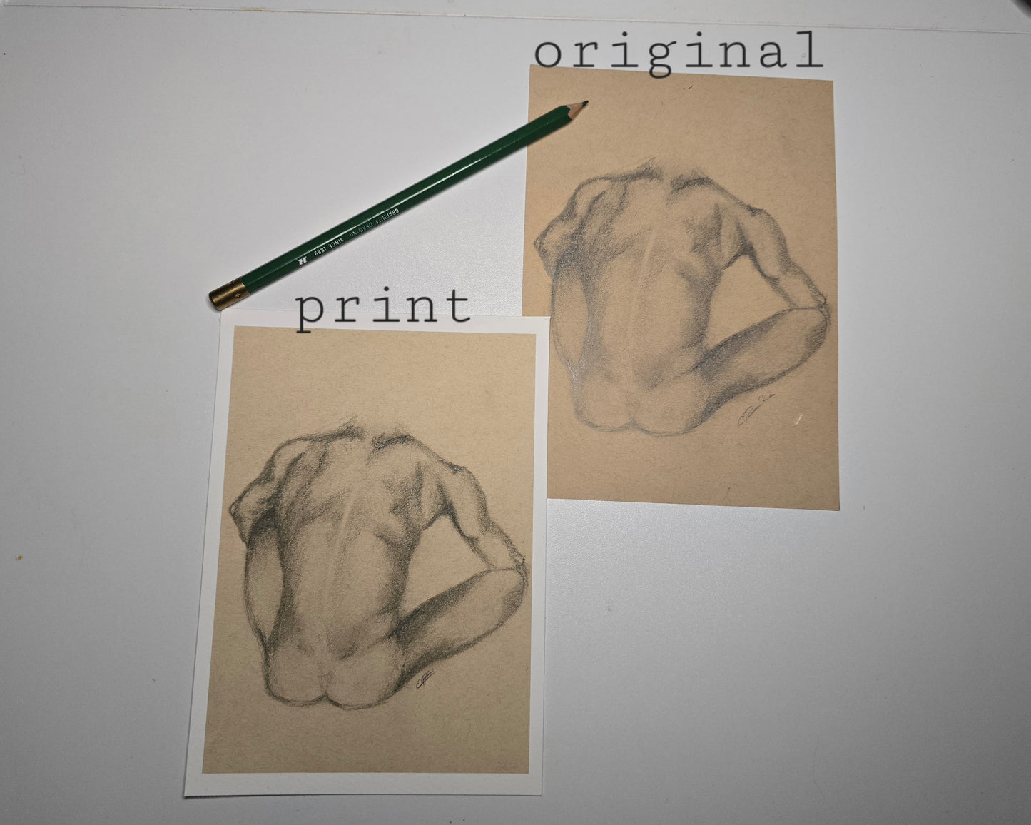 Male Nude Sketch Print