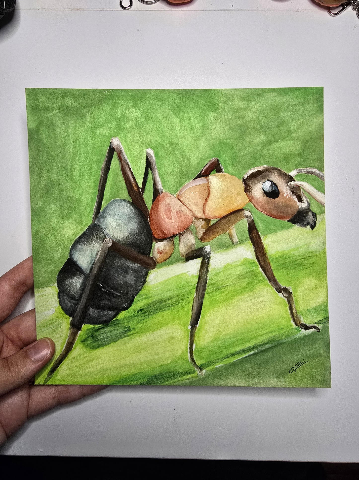 Ant Print