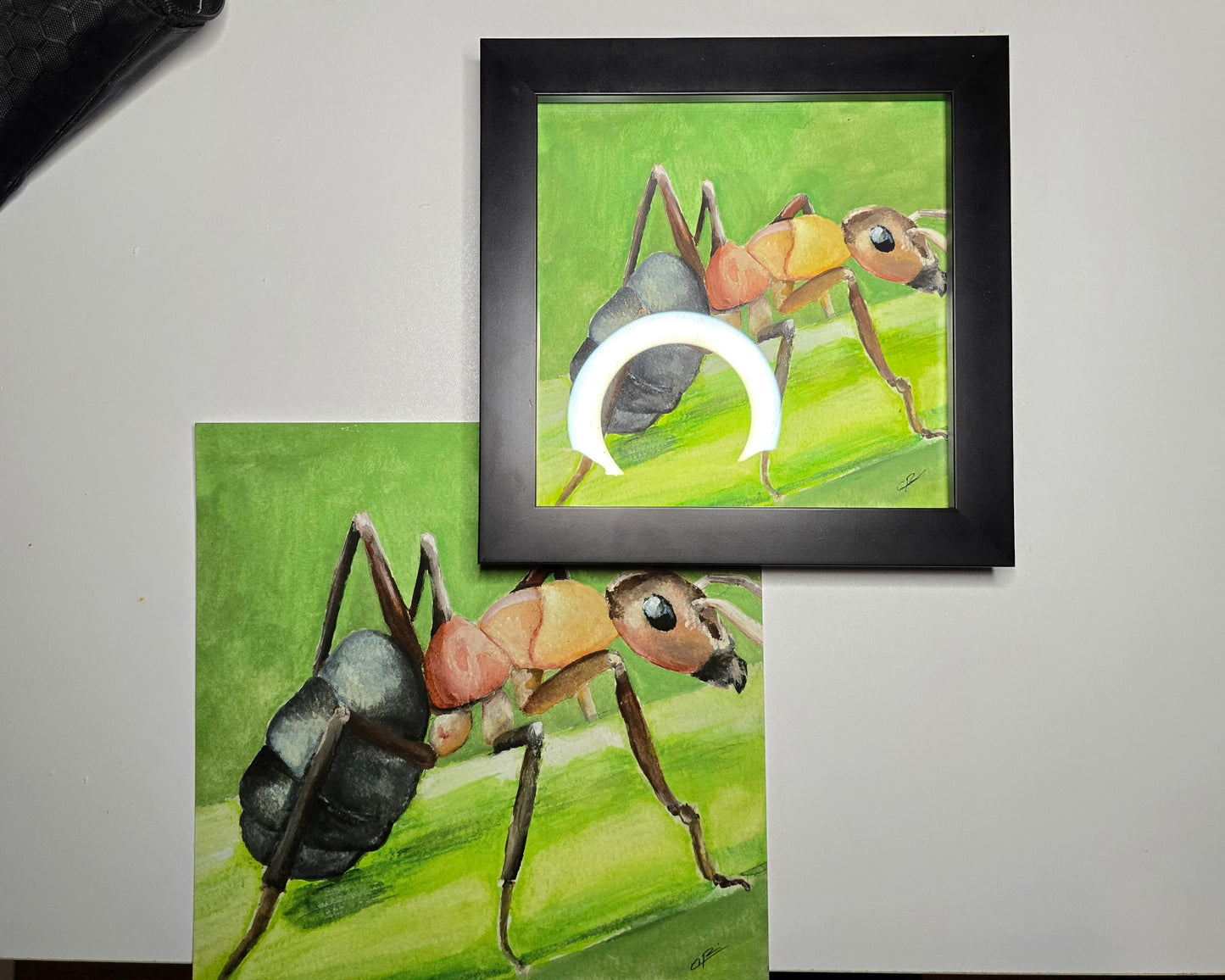 Ant Print