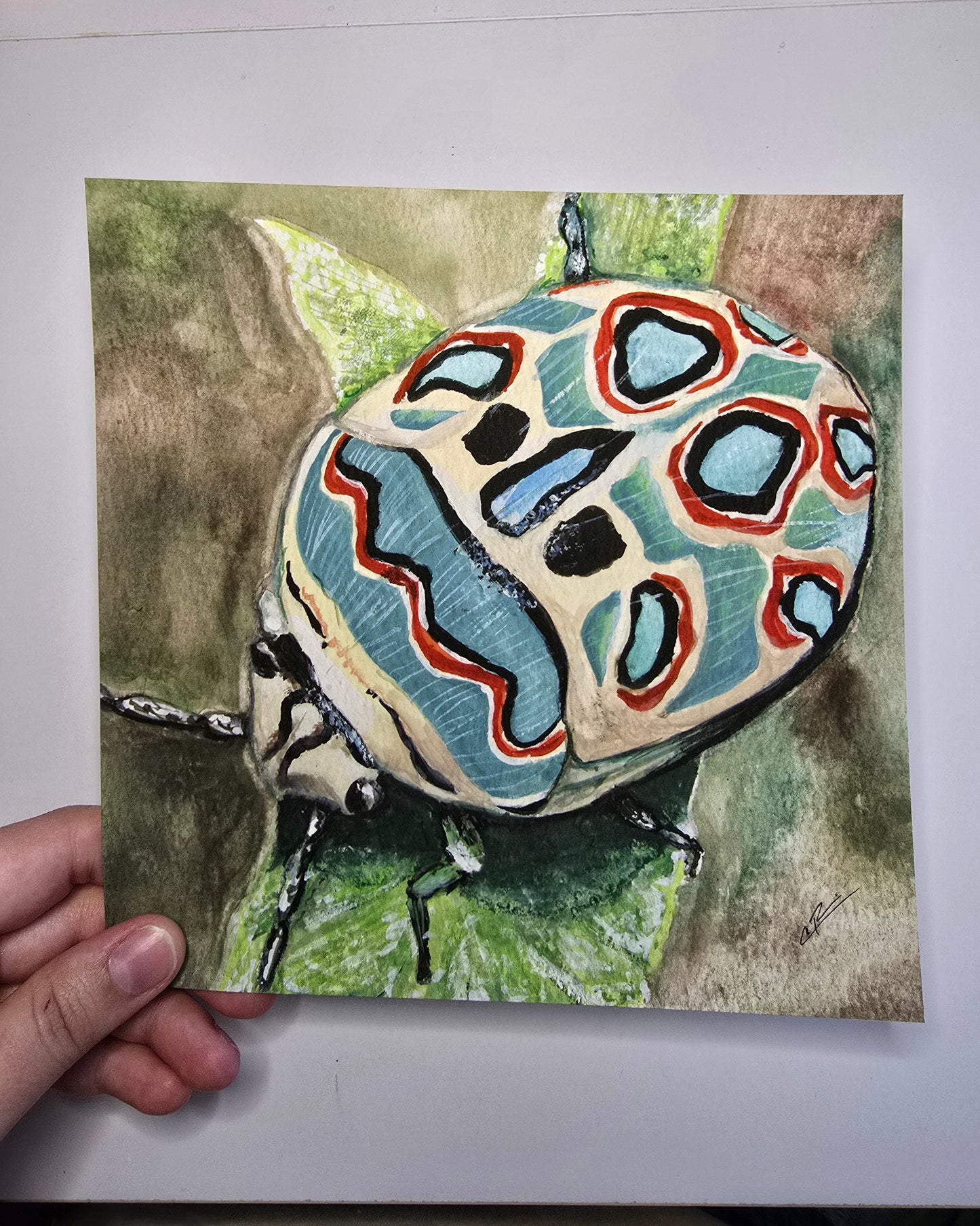 S. annulus Print