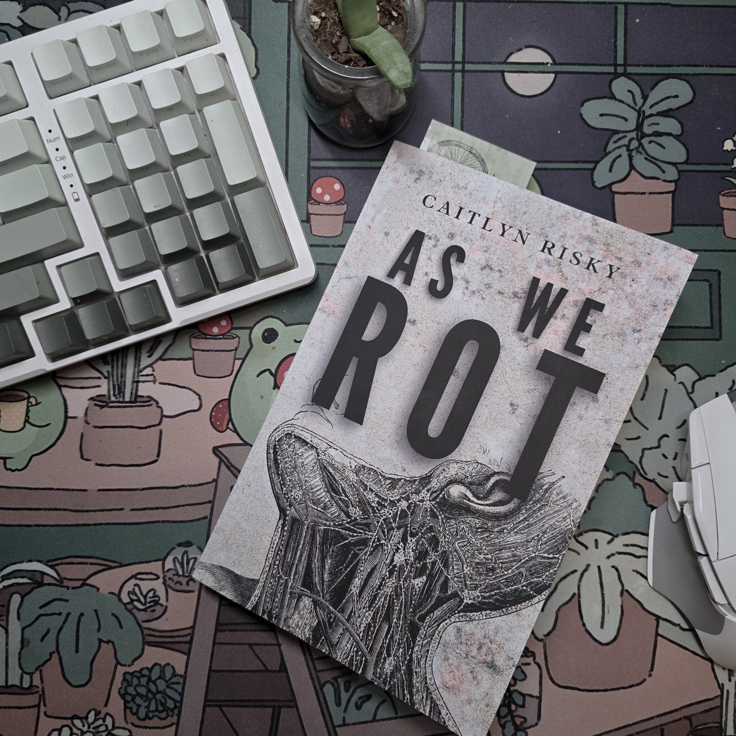 As We Rot: Novel by Caitlyn Risky