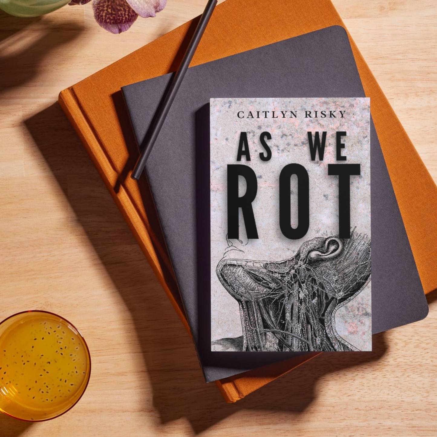 As We Rot: Novel by Caitlyn Risky
