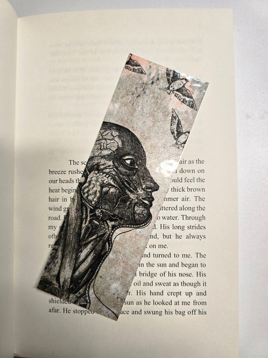 "As We Rot" Cover Themed Bookmark